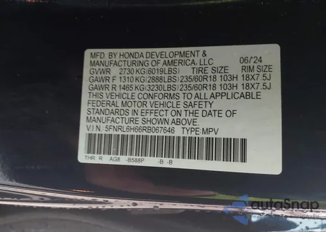 2024 Honda Odyssey Ex-L from USA, damaged, VIN 5FNRL6H66RB067646